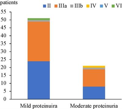 A retrospective study on the characteristics of renal pathological grades in HSPN children with mild to moderate proteinuria